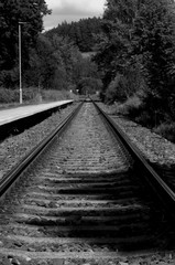 Fototapeta premium railroad tracks in the morning