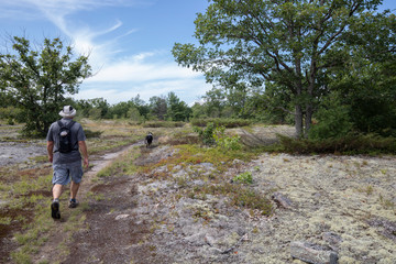 Naklejka na ściany i meble Man and his dog hiking a beautiful bedrock trail at Torrance Barrens conservation area 