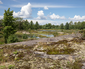 Lichen and moss on the bedrock  trail in Torrance Barrens  with wetland and forest in the distance