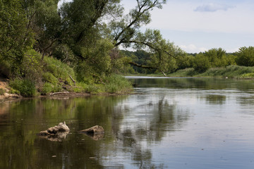 rzeka Warta na wysokości Skwierzyny © qrrr