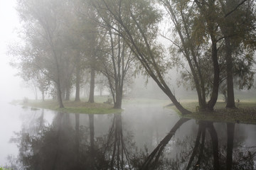 mglisty poranek nad rzeką Obrą 