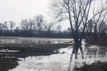 Podtopione i zalane pola po pierwszych wiosennych roztopach © qrrr