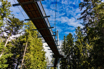 Skywalk Scheidegg von unten