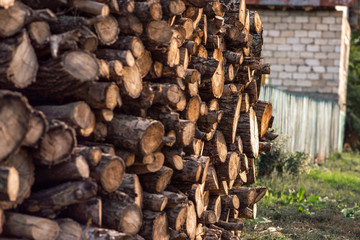 Cutted wood,gathered together in a pile. Cutted forest.