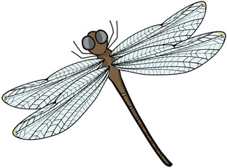シンプルなトンボのイラスト © foolchico