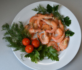 Prawns (Latin. Caridea) as food - delicacy
