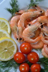 Prawns (Latin. Caridea) as food - delicacy