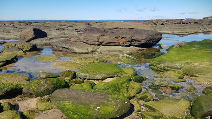 Rock Platform at Norah Head