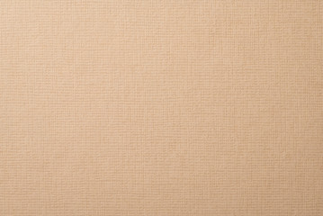 Fototapeta na wymiar ベージュの絹目調の質感のある紙の背景テクスチャー