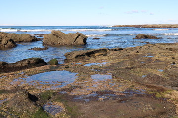 Rock Platform at Norah Head