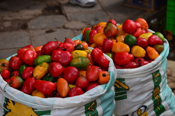 Rocoto 