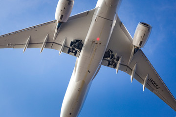 羽田沖から飛行機を見る