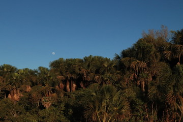landscape with sky and moon