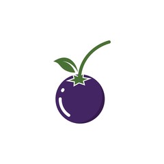 blueberry vector illustration design