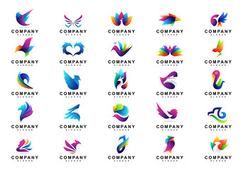 Fototapeta na wymiar Set of Colorful Eagle Birds Logo