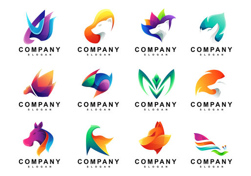 Set of Colorful Animals Beast Logo