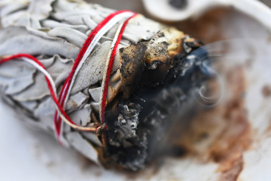 A close up image of a smoldering white sage bundle in a white sea shell. 