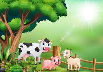 Obraz na płótnie Canvas Happy animal farm playing inside the fence