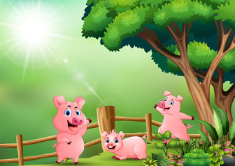 Funny three pig playing at nature background