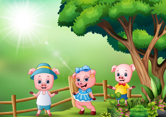 Three little pig playing at nature background