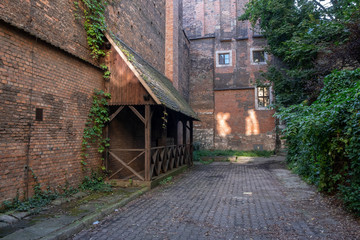 old brick building overgrown with ivy