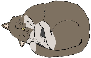 寝転んでいる可愛い猫のイラスト