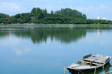 Fototapeta na wymiar 夏の伊佐沼のボート（埼玉県川越市）