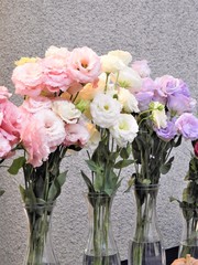 トルコキキョウ