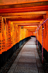 Japan - July 15, 2019 : Hundreds of Torii Gate Tunnel carving with the name of donators at Fushimi Inari Shrine, Fushimi, Kyoto