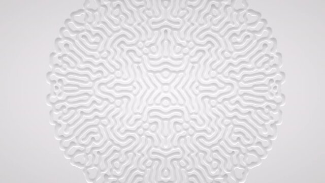 Reaction diffusion organic growing pattern. Cell division science background.