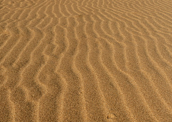 Fototapeta na wymiar The desert floor reflects a history of seasonal rains and wind moving the sand about, creating beautiful abstract patterns like these sand ripples 