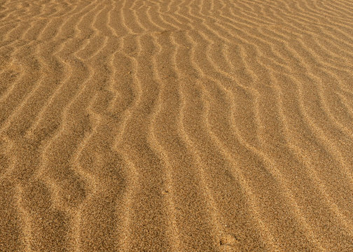 The desert floor reflects a history of seasonal rains and wind moving the sand about, creating beautiful abstract patterns like these sand ripples 