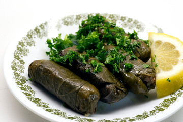 Dolmas with parsley on a white plate.  Classic Middle Eastern food made with stuffed grape leaves