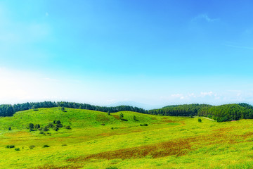 【長野県 霧ヶ峰】雲上の高原風景