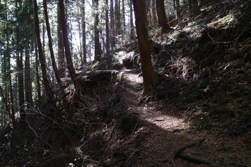 大月市にある百蔵山の登山道