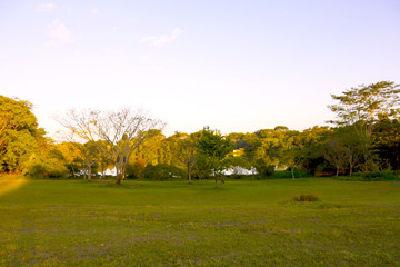 Small Town, city, country, nature, tropical, old buildings, flowers, churches, 