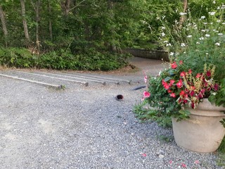 恵庭市白扇の滝