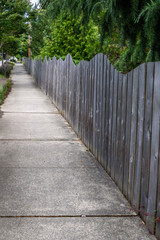 Tree lined sidewalk with a rustic wood fence
