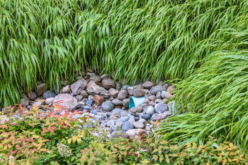 Storm water management in public space, plastic pipe, rocks, and shrub plantings
