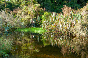 ニュージーランド、南島、マポウリカ湖