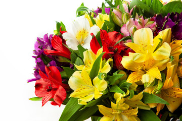 Alstroemeria, commonly called the Peruvian lily or lily of the Incas. Close up of colorful bouquet photographed in studio 