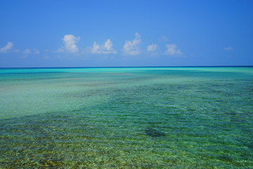 The Blue Sea of Okinawa, Japan