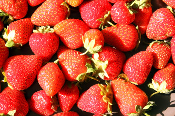 Fresh ripe delicious strawberries on a black background. A breast of red strawberries close up. Food. Vitamin complex. Farm. Background. Texture. Copy space for text. Red strawberries
