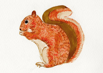 りす  © kanakanadots