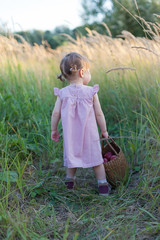 a little girl in pink in a field with a basket in her hands. Summer harvest of apples and plums.