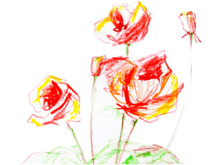hand drawing pastel art of red poppy flowers 