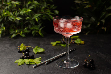 Refreshing summer cocktail with black currant and ice cubes in crystal glass and tropical plants on background.