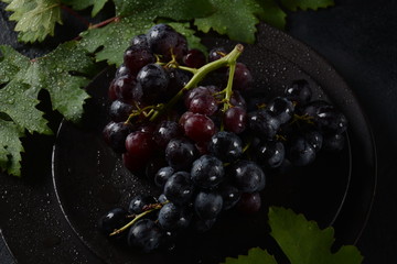 Bunch of dark blue / black grapes  with leaves  on black background 