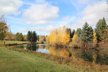 Autumn By The Lakes Edge, William Hawrelak Park, Edmonton, Alberta