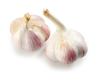 garlic on white background